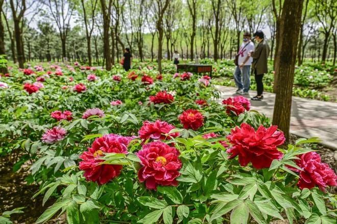 ：三大+书市+特色小镇打卡文旅新地标AG真人国际120小时玩转副中心-2(图7)